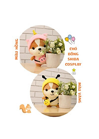 product-img-6