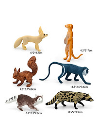 product-img-6