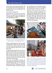 product-img-7