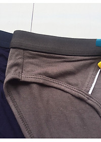 Combo 4 quần lót nam cotton thiên nhiên - 4 màu