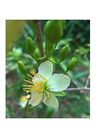 product-img-6