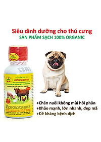 product-img-9