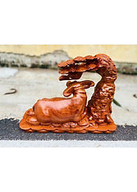 product-img-2