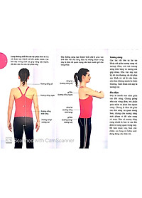 Sách Lò Xo - 15 Phút Tập Lưng (Kèm 1 DVD)