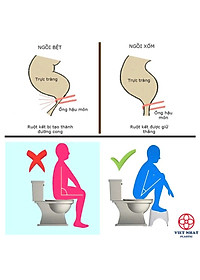 Ghế Kê Chân Toilet Chống Táo Bón Ngăn Ngừa Các Bệnh Tiêu Hóa Khi Đi Vệ Sinh