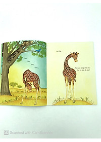 Sách Giống Hệt Như Anh Cả