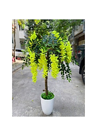 product-img-9