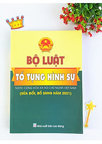 Sách - Combo 2 cuốn Bộ luật hình sự và Bộ luật tố tụng hình sự (Hiện hành) - ndbooks