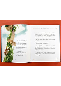 product-img-8