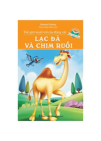 product-img-5