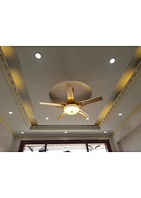 product-img-5