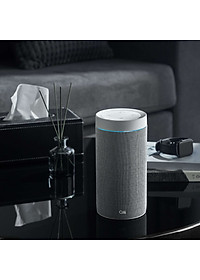 Loa thông minh OLLI MAIKA - Xám Thời Thượng - Hàng Chính Hãng