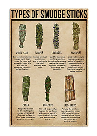 Sét 1 bó lá xô thơm trắng white sage hoa xanh 10cm và 1 thanh gỗ palo santo trắc xanh 5-6gr Combo06