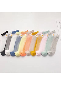 Combo 10 đôi Tất Lưới Hoa Cúc kèm túi - Túi 10 Đôi Tất Nữ Cổ Ngắn Sang Chảnh có sẵn