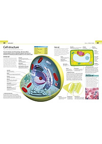 Sách Help Your Kids with Science