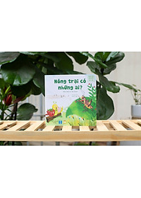 product-img-3