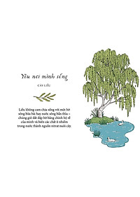 Sống Như Những Cái Cây - Những Bài Học Nhỏ Để Có Nguồn Hạnh Phúc Bất Tận (Tái Bản 2021)