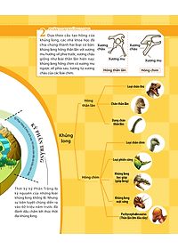 Sách Kiến Thức Về Khủng Long - Tại Sao Khủng Long Plateosaurus Lại Ăn Đá ? Đặc Tính Ăn Uống Và Tiêu Hóa Của Khủng Long