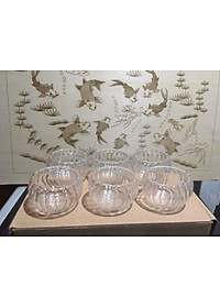 BỘ  6 CỐC THỦY TINH UỐNG TRÀ VÂN TRÁI BÍ - ANTH675