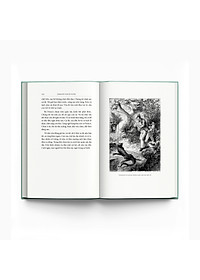 product-img-3