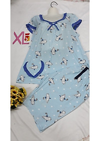 product-img-16