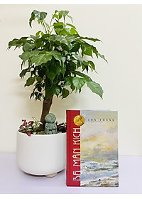 product-img-4