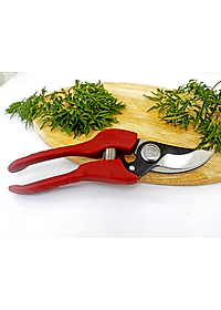 Kéo cắt cành cao cấp Nhật Bản Chikamasa PS-20R chiều dài lưỡi 50mm - lưỡi thép carbon chất lượng cao siêu bén - Cắt ngọt, không bám dính, liền sẹo nhanh