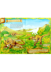 product-img-6