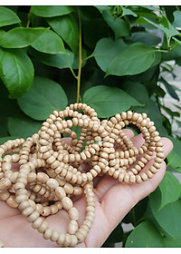 Vòng dâu tằm cho bé sơ sinh  vòng cho cả bé trai và bé gái  Ông bà xưa cho bé đeo vòng dâu tằm tốt, giúp cho bé ngủ không bị giật mình, bụ bẩm ngoan ạ