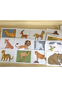 Animal Flashcards – Wild Animals – Thẻ học tiếng Anh chủ đề động vật hoang dã – 20 cards