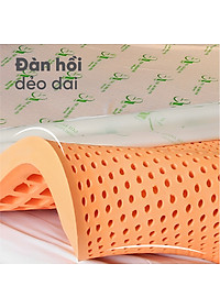 Nệm Cao Su Một Mặt Lỗ Đồng Phú DPCS1615 (160 x 200 x 15 cm)