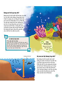 Sách What? Bố Mẹ Ơi Đây Là Cái Gì…? Những Câu Hỏi What Giúp Con Tò Mò Sáng Tạo?