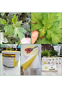product-img-3