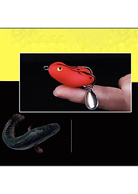 product-img-2