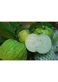 product-img-2