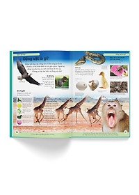 Sách Bách khoa cho trẻ em - Bách khoa khoa học