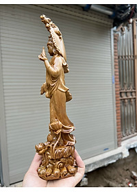 product-img-1
