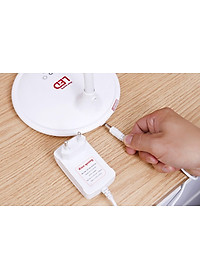 Đèn Bàn Led Điện Quang ĐQ LDL05 3W