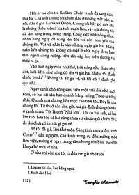 product-img-12