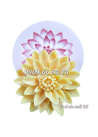product-img-0