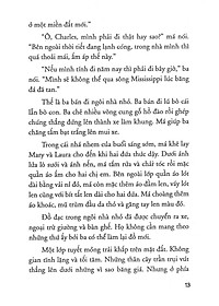 product-img-13