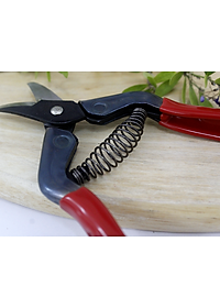 Kéo tỉa cành cao cấp Nhật Bản Chikamasa S-2C chiều dài lưỡi 23mm -  lưỡi thép carbon chất lượng cao siêu bén - Cắt ngọt, không bám dính, liền sẹo nhanh