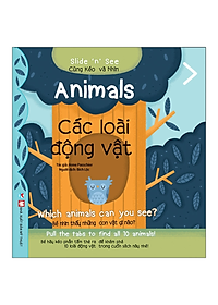 Combo: (Bộ 4 Cuốn): Cùng Kéo Và Nhìn (Sách Song Ngữ Có Tương Tác): Ở Nhà + Các Phương Tiện + Từ Trái Nghĩa + Các Loại Động Vật