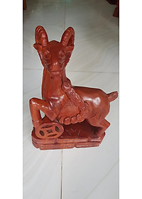 product-img-5