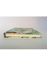 product-img-2