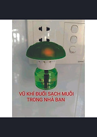 product-img-1