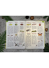 product-img-5