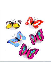 product-img-2