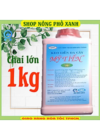 product-img-4