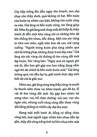 product-img-6